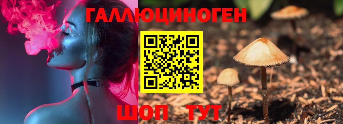 Галлюциногенные грибы прущие грибы  Галлюциногенные грибы мицелий  Острогожск  Вход с VPN 